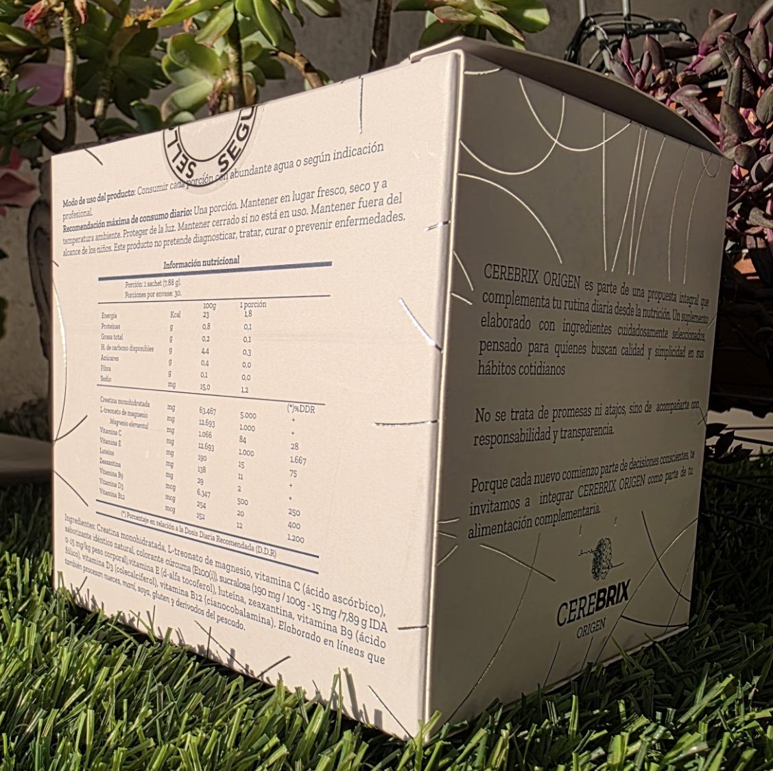 Cerebrix ORIGEN - Imagen 2